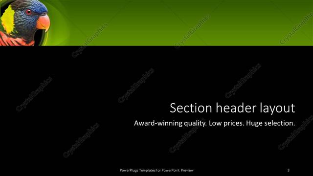 Section Header presentation slide layout