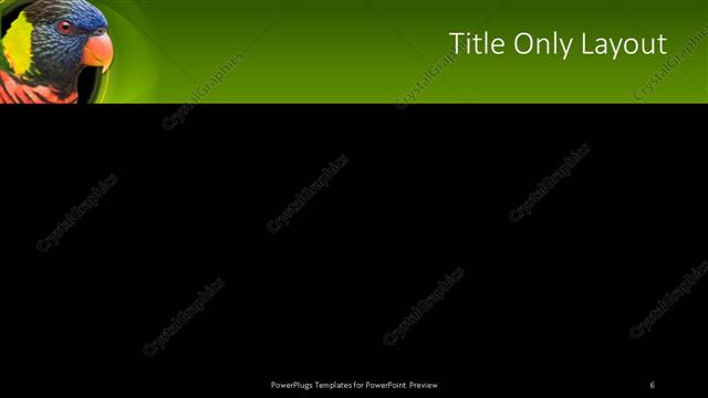 Title Only presentation slide layout