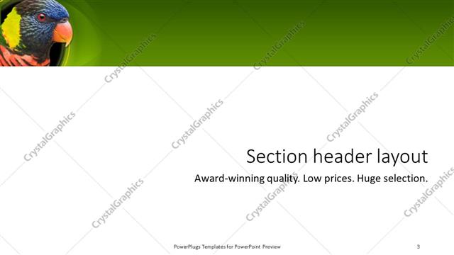 Section Header presentation slide layout