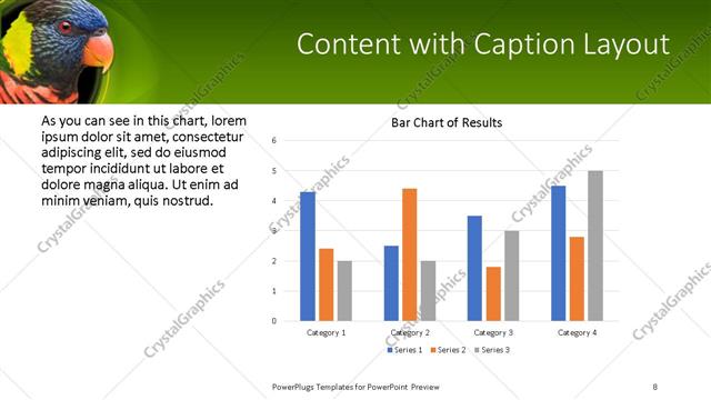 Content with Caption presentation slide layout
