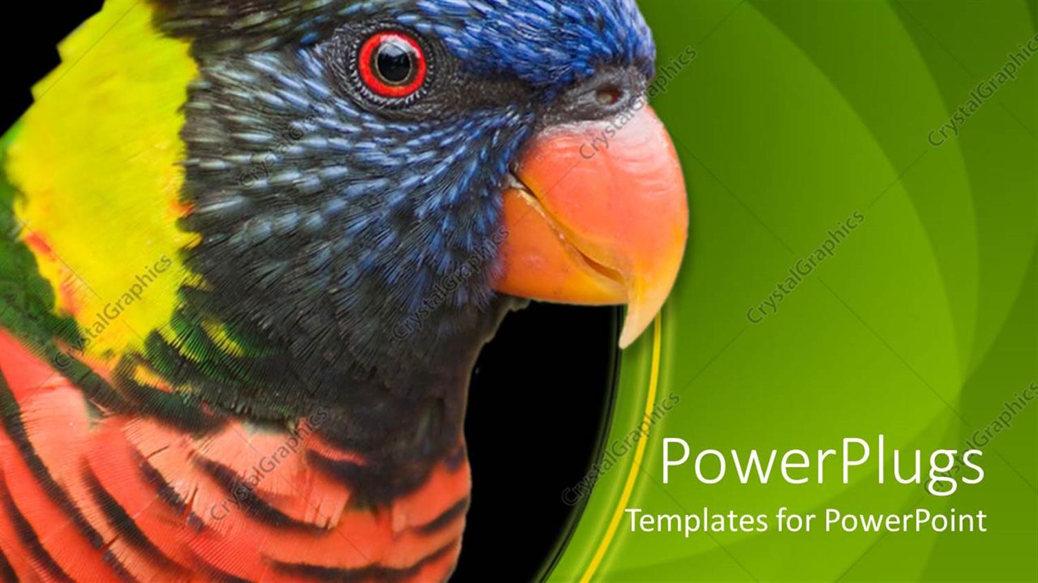 Premium Template for PowerPoint & Google Slides 