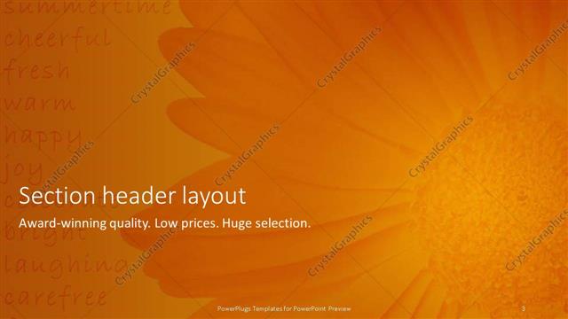 Section Header presentation slide layout