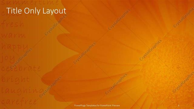 Title Only presentation slide layout