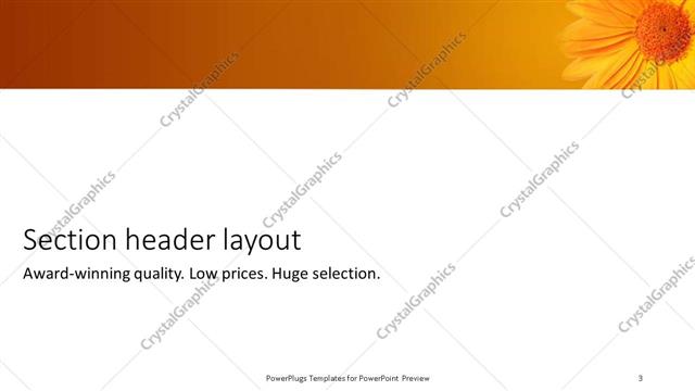Section Header presentation slide layout