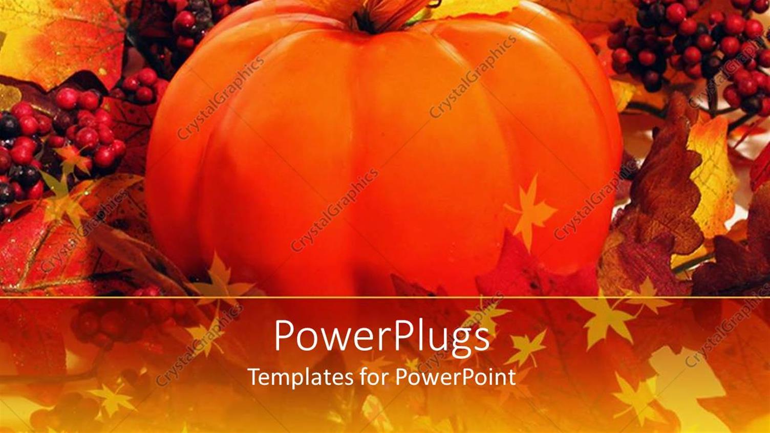 Premium Template for PowerPoint & Google Slides 