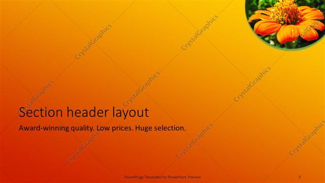 Section Header presentation slide layout