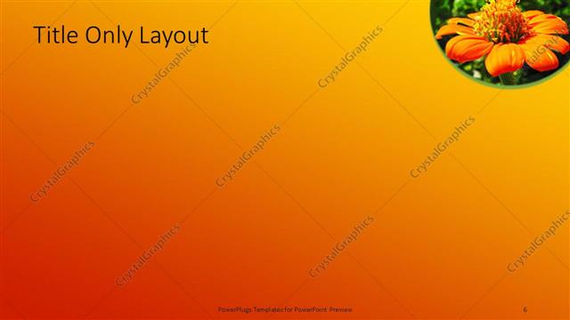 Title Only presentation slide layout