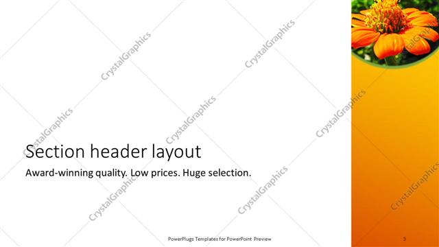 Section Header presentation slide layout