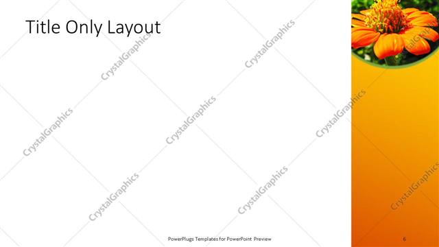 Title Only presentation slide layout