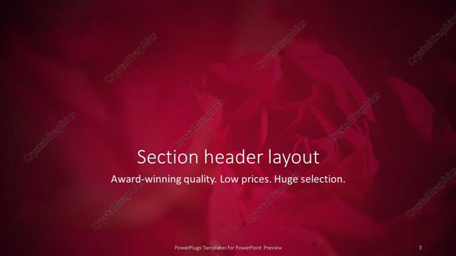 Section Header presentation slide layout