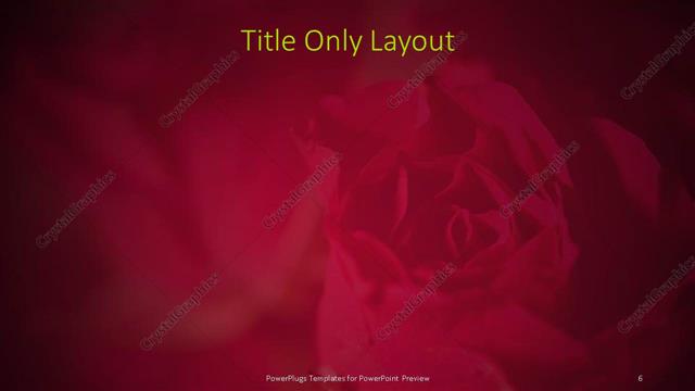 Title Only presentation slide layout