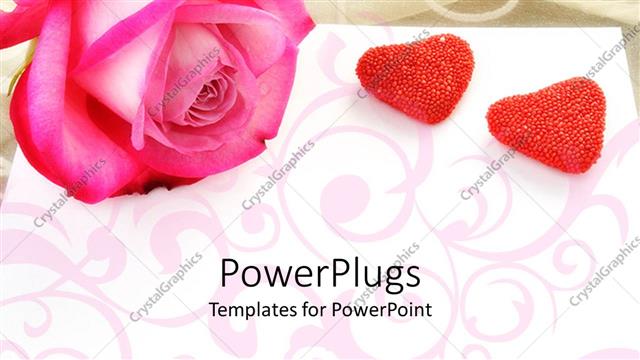  Presentation with pink rose - Large pink rose with two heart shaped stones beside