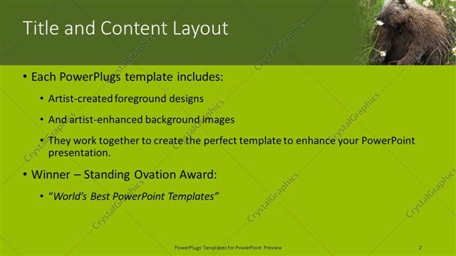 Title and Content presentation slide layout