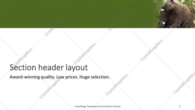 Section Header presentation slide layout
