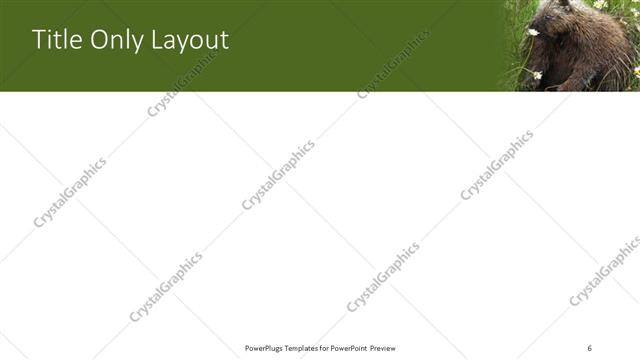 Title Only presentation slide layout