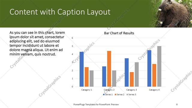 Content with Caption presentation slide layout