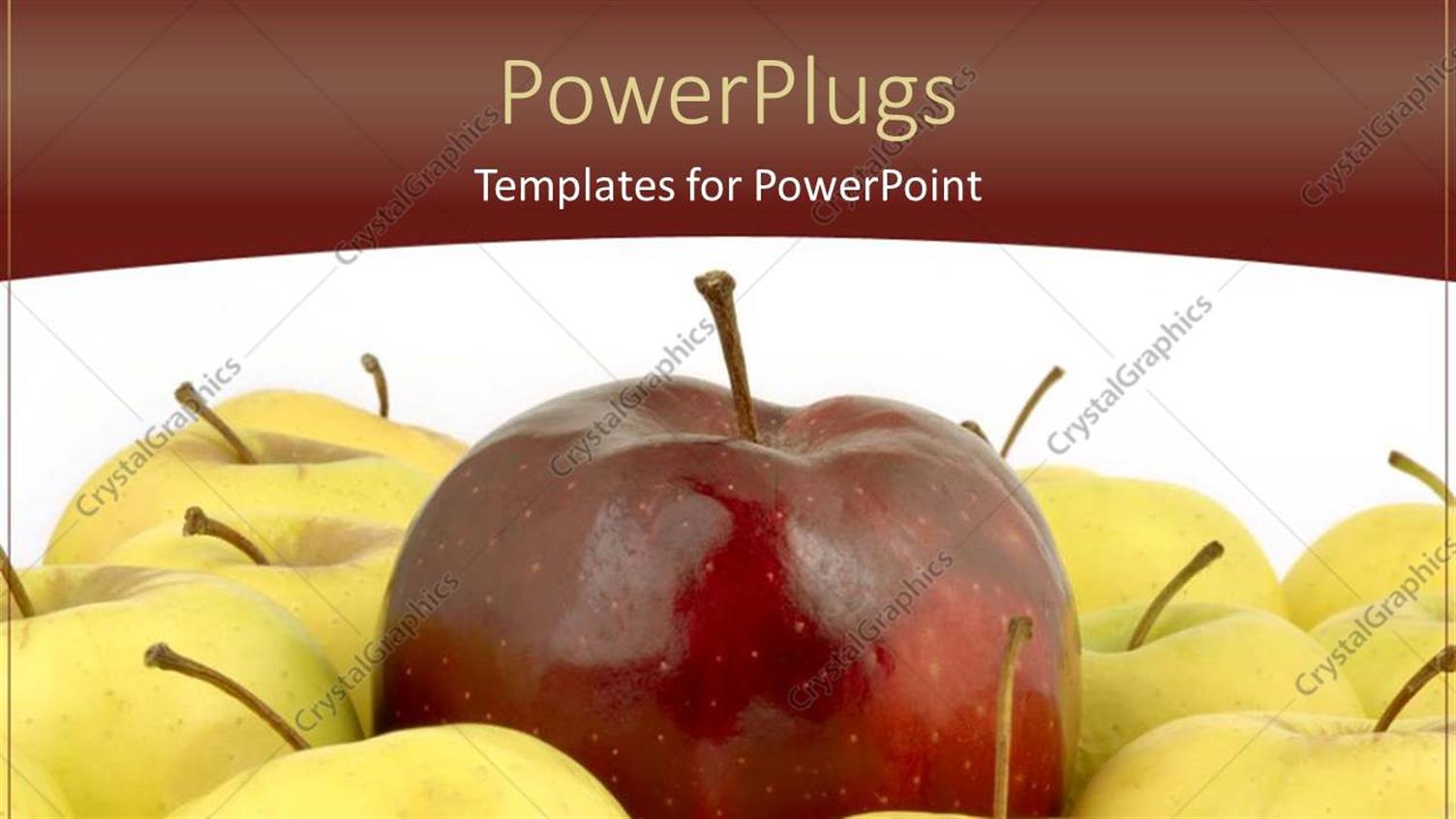 Premium Template for PowerPoint & Google Slides 