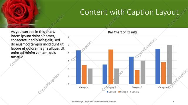 Content with Caption presentation slide layout