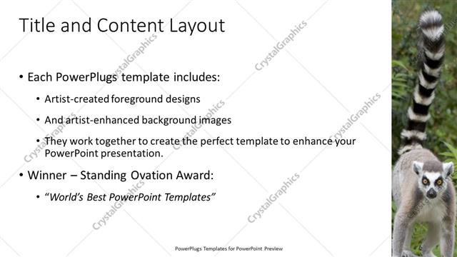 Title and Content presentation slide layout