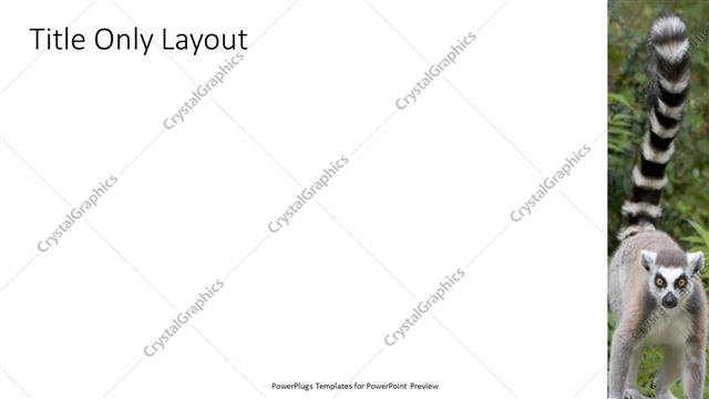 Title Only presentation slide layout