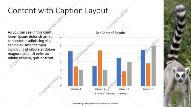 Content with Caption presentation slide layout