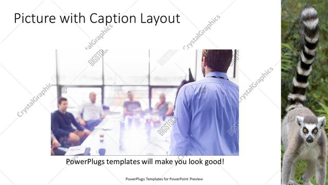 Picture with Caption presentation slide layout