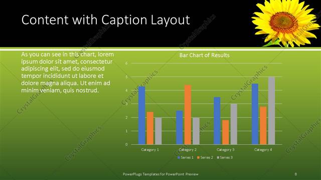 Content with Caption presentation slide layout