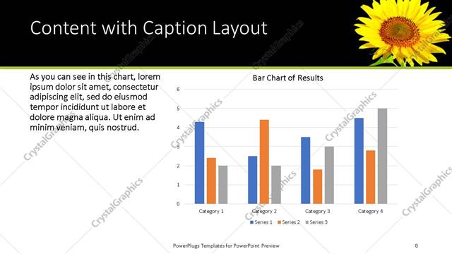 Content with Caption presentation slide layout