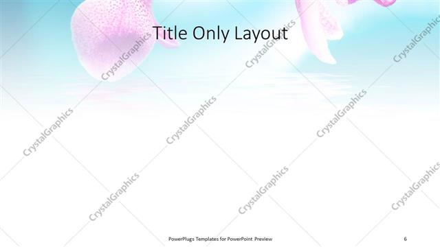 Title Only presentation slide layout