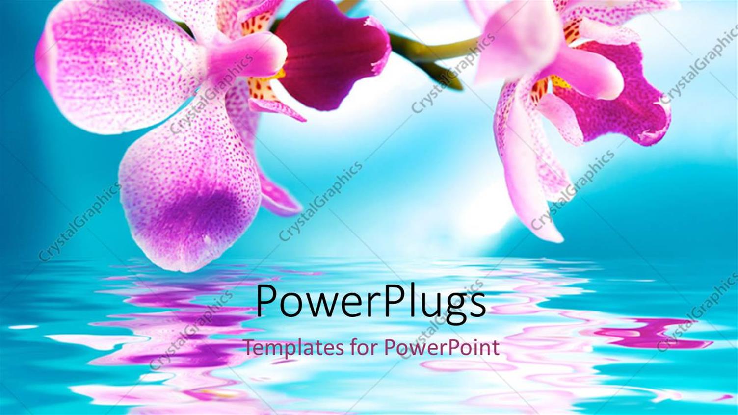 Premium Template for PowerPoint & Google Slides 