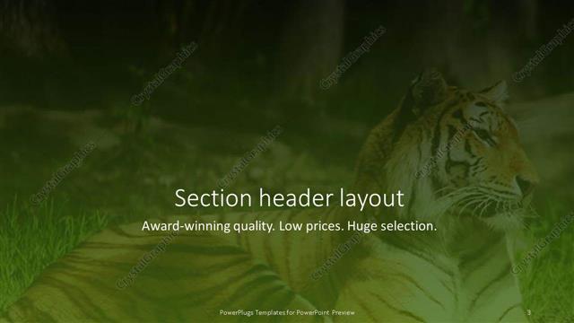 Section Header presentation slide layout