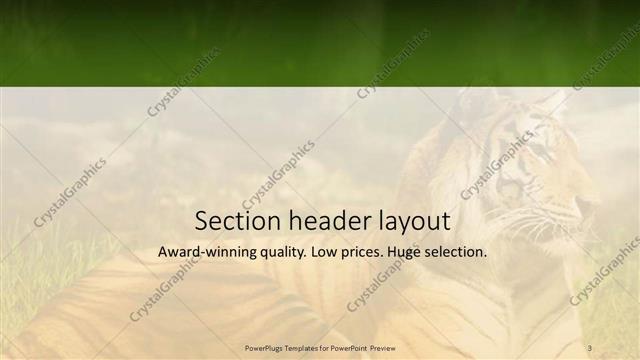 Section Header presentation slide layout