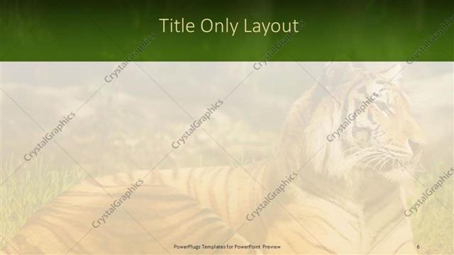 Title Only presentation slide layout