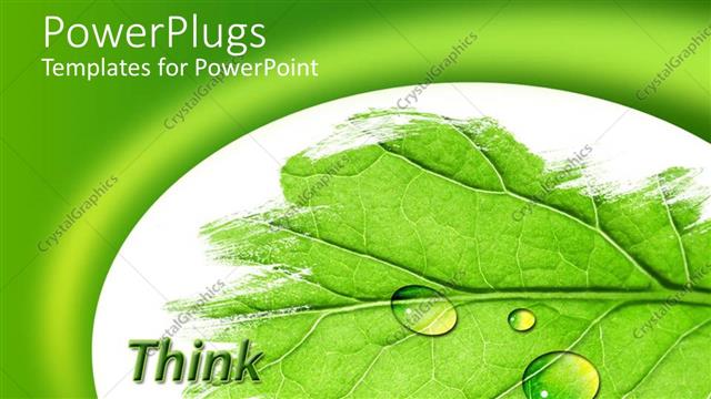  Presentation with green leaf - Leaf depiction with water drops on the leaf on white and green background