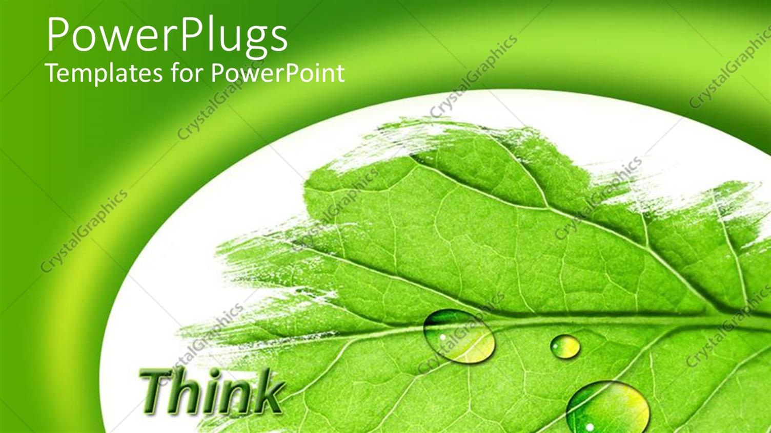 Premium Template for PowerPoint & Google Slides 