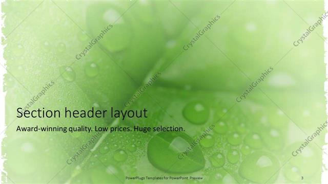 Section Header presentation slide layout