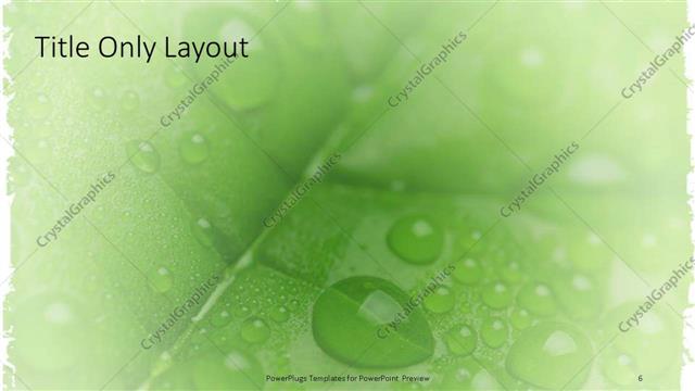 Title Only presentation slide layout