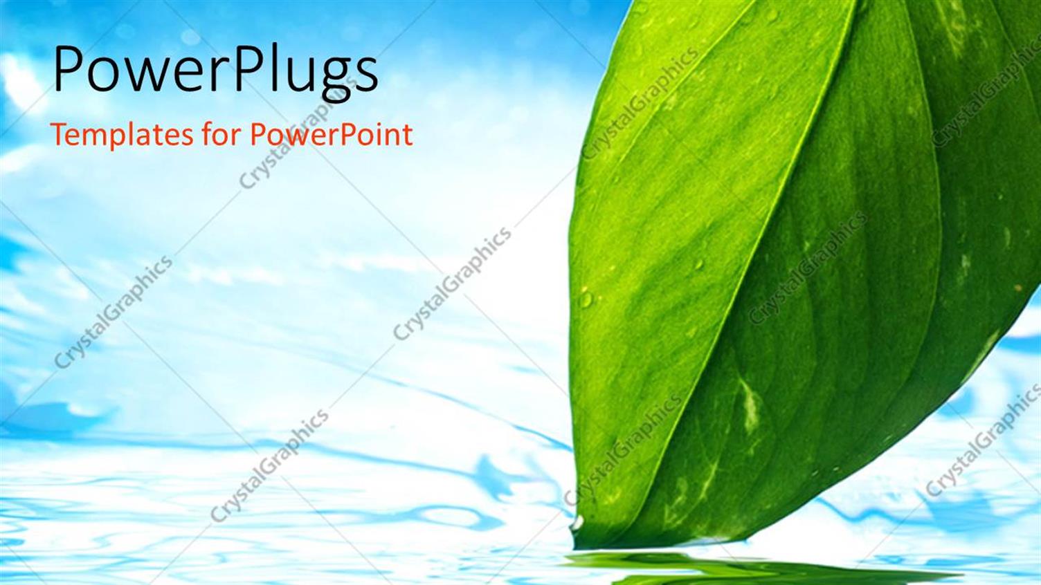 Premium Template for PowerPoint & Google Slides 