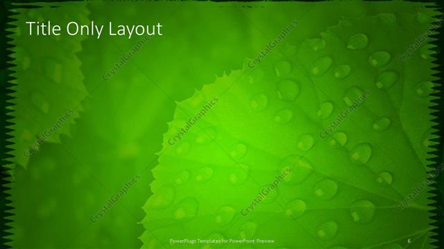 Title Only presentation slide layout