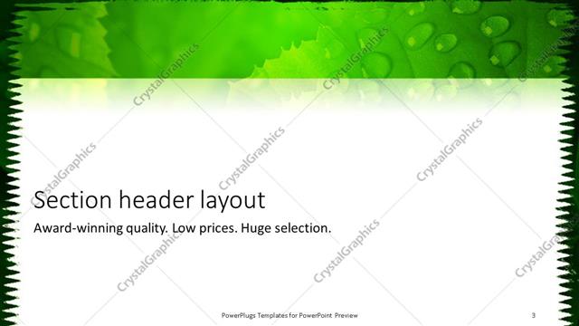 Section Header presentation slide layout