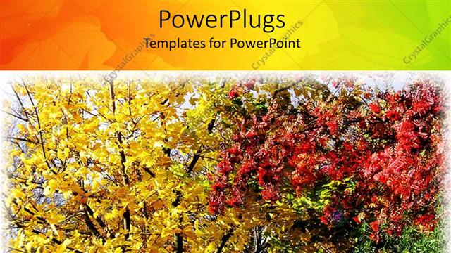  Presentation with fall colors - Leaves changing colors in fall, autumn colors