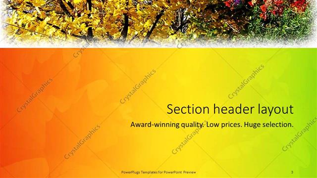 Section Header presentation slide layout