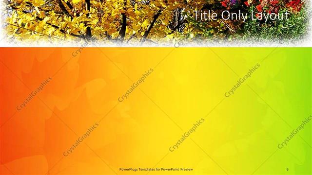 Title Only presentation slide layout