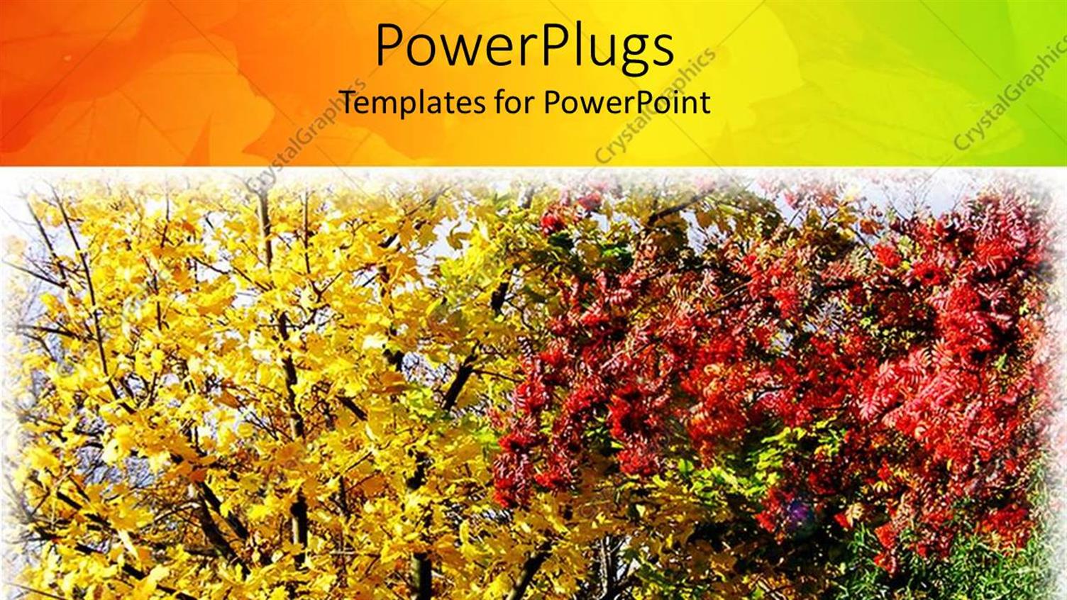 Featuring Leaves Changing Colors in Fall, Autumn Colors