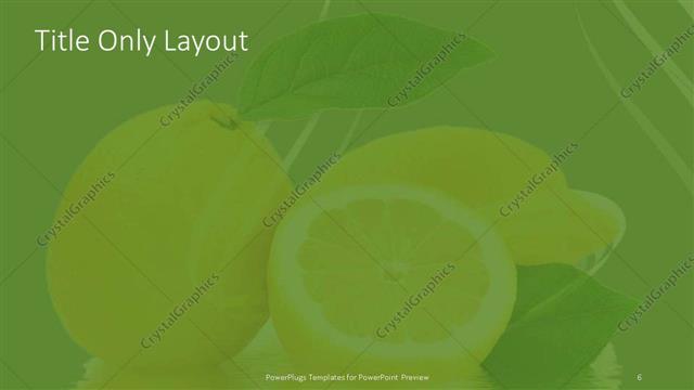 Title Only presentation slide layout