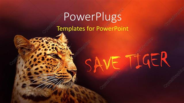  Presentation with save tiger - A tiger with a reddish background