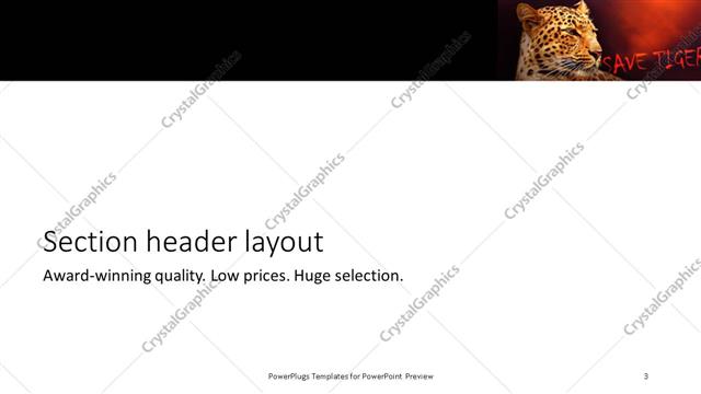 Section Header presentation slide layout