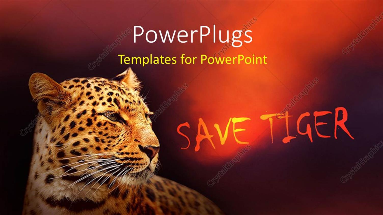 Premium Template for PowerPoint & Google Slides 