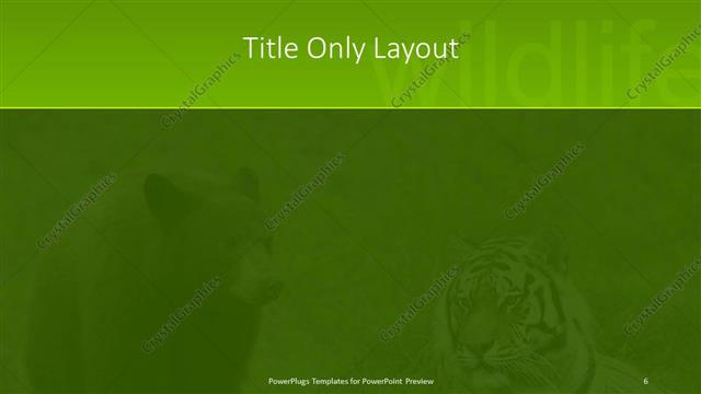 Title Only presentation slide layout