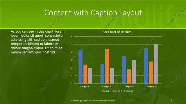 Content with Caption presentation slide layout
